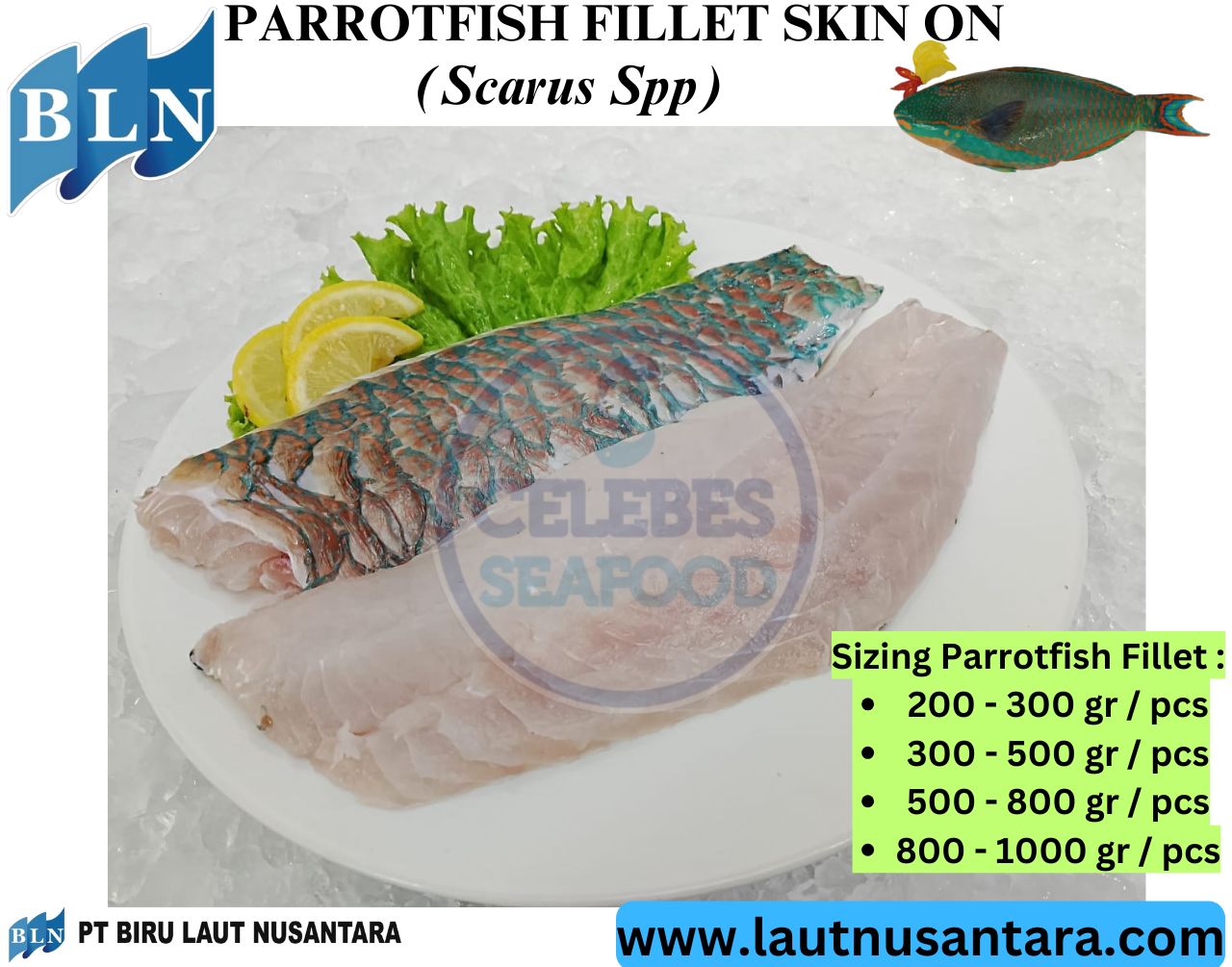 Parrotfish Fillet Skin On